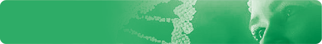 Prenatal Tarama Testleri